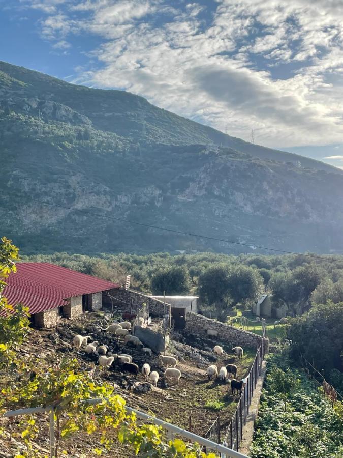 Farmhouse Qeparo Bagian luar foto